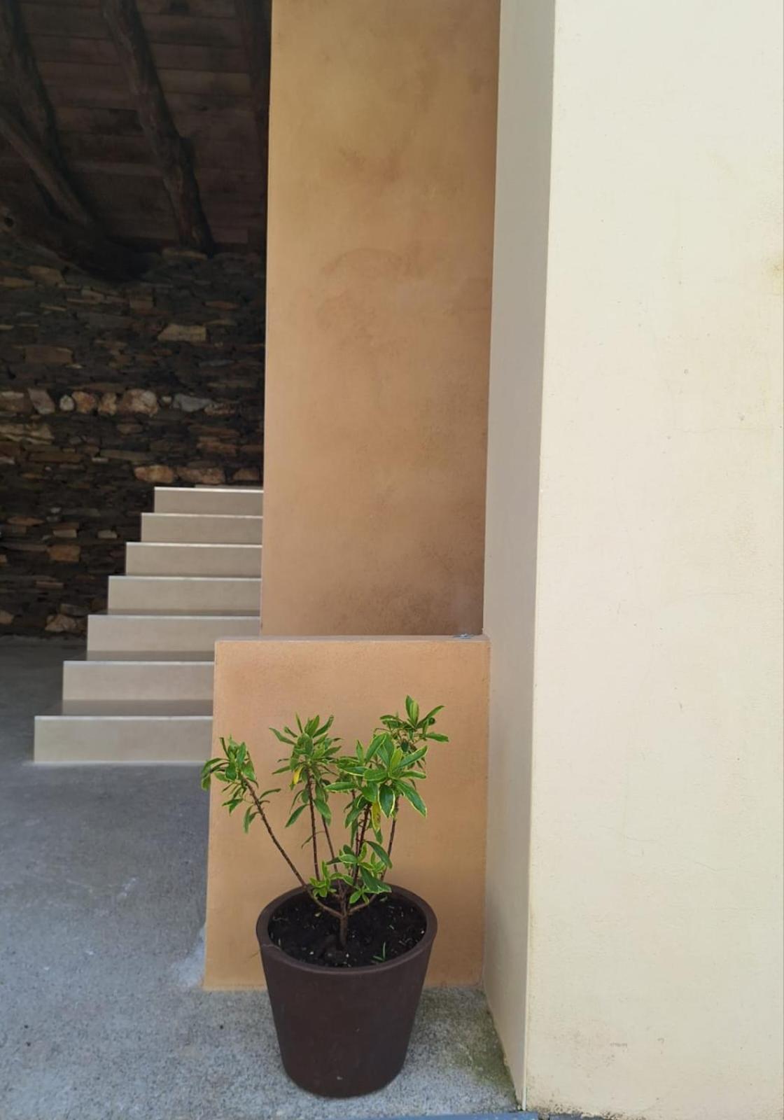 מלון Castromayor Casa Perdigueira מראה חיצוני תמונה
